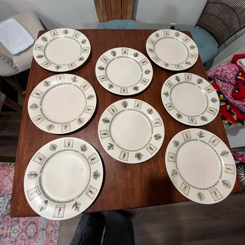 Pfaltzgraff Naturewood Dinner Plate